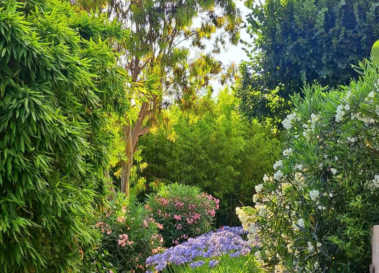 Bed and Breakfast Bastide De Marie Grasse 0*,  Frankreich